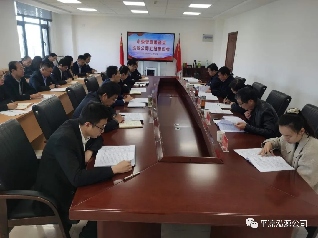 市委辦公室、市政府國資委督查泓源公司工作(圖4)
