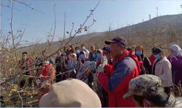 市產(chǎn)投集團(tuán)在靜寧幫扶村開(kāi)展冬季果園管理培訓(xùn)(圖2) 市產(chǎn)投集團(tuán)在靜寧幫扶村開(kāi)展冬季果園管理培訓(xùn)(圖2)