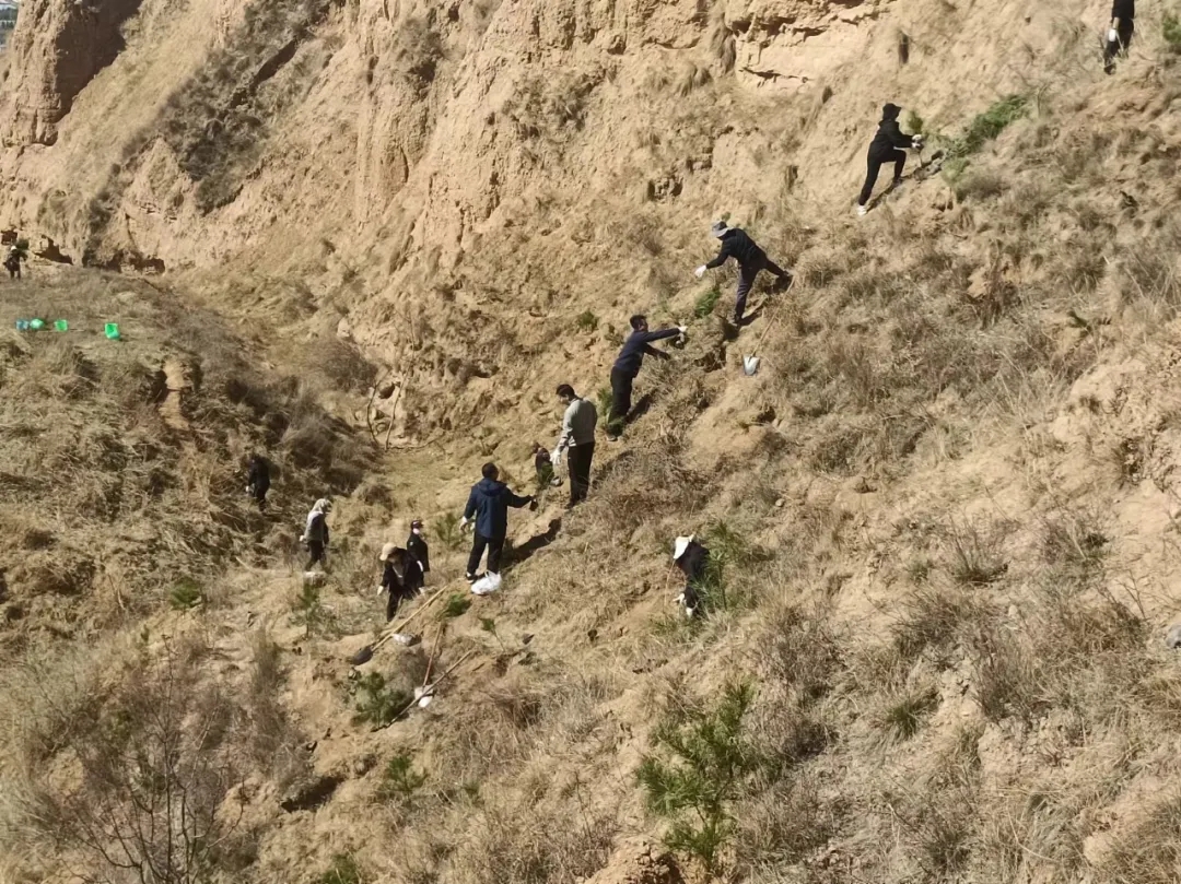 市產投集團開展義務植樹活動(圖2) 市產投集團開展義務植樹活動(圖2)